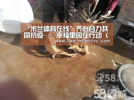 米兰体育网页登录